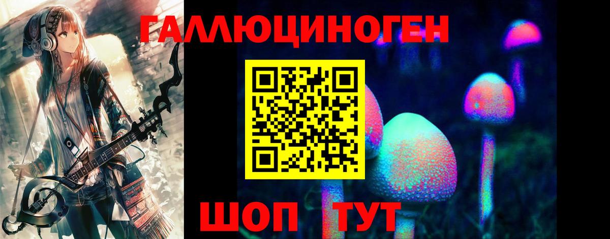 Псилоцибиновые грибы Psilocybe  Вход с VPN  Кашира 