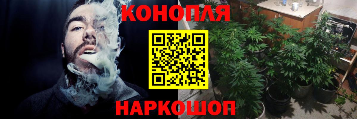 Марихуана гибрид Кашира